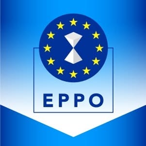 Percheziții la birourile de la Parlamentul European ale grupului Patrioți pentru Europa