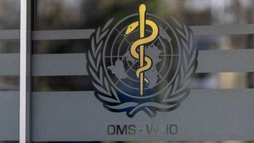 OMS avertizează cu privire la creșterea numărului de nașteri premature în timpul valurilor de căldură