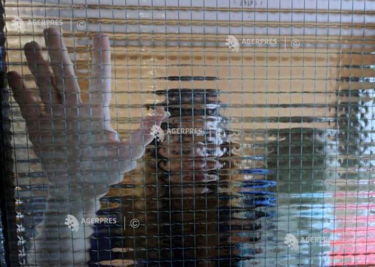Cluj: Proiect de peste 2,5 milioane de lei din fonduri europene pentru victimele violenței domestice
