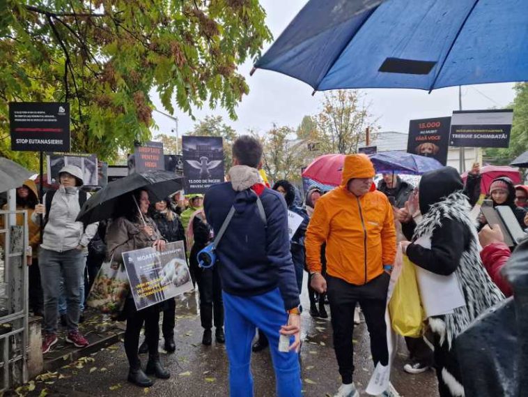 VIDEO REPORTAJ/Vrancea: Peste 100 de iubitori de animale au protestat împotriva redeschiderii adăpostului de câini de la Suraia și au cerut…