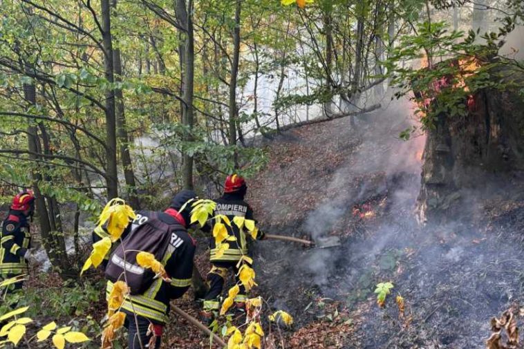 Caraș-Severin: Incendiul din Parcul Național Domogled și zona Topleț, lichidat; peste 2.200 de hectare, afectate