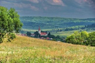Mureș: Aplicație mobilă de calcul cost-beneficii pentru obținerea de profit din practici agricole ecologice