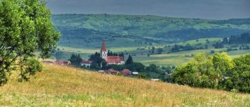 Mureș: Aplicație mobilă de calcul cost-beneficii pentru obținerea de profit din practici agricole ecologice
