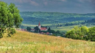 Mureș: Aplicație mobilă de calcul cost-beneficii pentru obținerea de profit din practici agricole ecologice