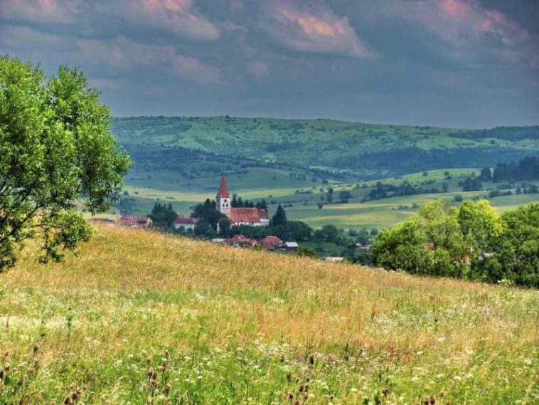 Mureș: Aplicație mobilă de calcul cost-beneficii pentru obținerea de profit din practici agricole ecologice