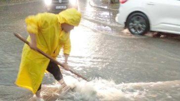 Constanța: Municipiu reședință cu copaci căzuți, străzi inundate, surpări de carosabil, electricitate întreruptă, în urma ploilor