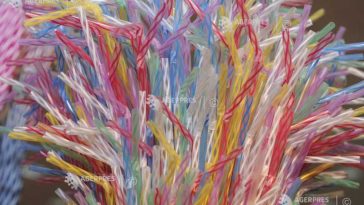 Paiele de hârtie sunt mai dăunătoare pentru mediu decât cele din plastic (studiu)