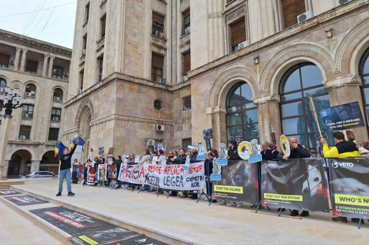 Reprezentanți din mai multe organizații care se ocupă cu protecția animalelor protestează vineri în fața ANSVSA