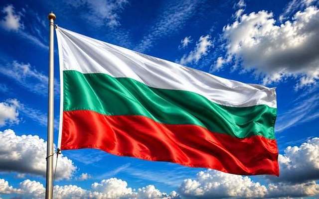Alegeri în Bulgaria. Preşedintele unei secţii de votare din regiunea Burgas, înlăturat din funcţie deoarece era beat