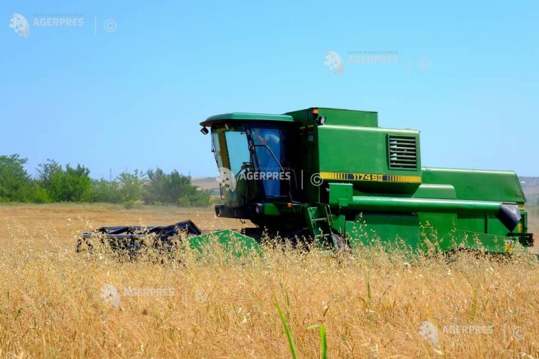Importurile de porumb ale UE au crescut cu 40% în acest sezon, România cel mai mare exportator de grâu (Reuters)