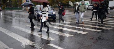 Cod galben de ploi însemnate cantitativ în Muntenia, sud-estul Olteniei și Carpații de Curbură
