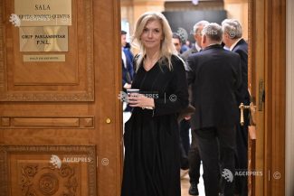 Gorghiu: Ar fi fost mai bine pentru PNL să fie votat Guvernul Veștea sau că alege Opoziția?