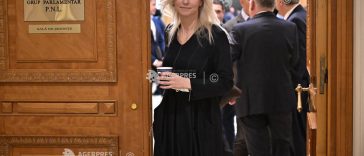 Gorghiu: Ar fi fost mai bine pentru PNL să fie votat Guvernul Veștea sau că alege Opoziția?