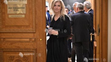 Gorghiu: Ar fi fost mai bine pentru PNL să fie votat Guvernul Veștea sau că alege Opoziția?