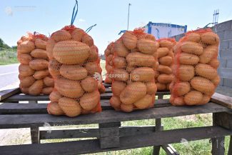 Harghita: Producții bune la cereale și cartofi; preț mic la poarta fermei, dar producătorii se tem de creșterea costurilor