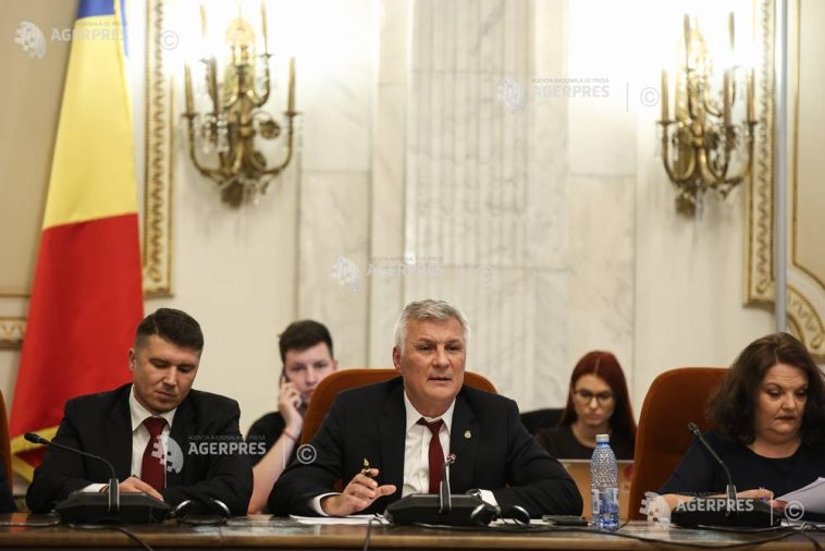 Parlament-audieri miniștri/Zamfir: E foarte acută situația de la Dacia; împreună cu ministrul Energiei voi face o deplasare acolo