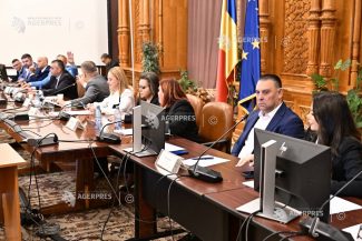 Parlament/ Toți miniștrii propuși în Cabinetul Niculescu – avize favorabile în comisii; urmează votul în plen