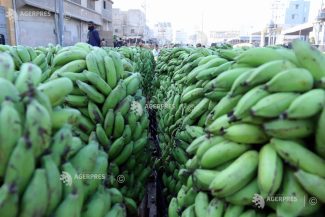 Directorul Chiquita avertizează că aprovizionarea cu banane ieftine este în pericol din cauza fenomenului El Nino și a războaielor