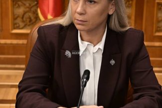 Camera Deputaților/Bullyingul în educație – pe agenda parlamentarilor; Raisa Enachi: Nu putem vorbi despre educație fără demnitate