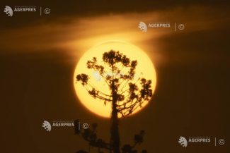 Sănătate / Schimbările climatice trebuie declarate ”urgență sanitară mondială” (raport)