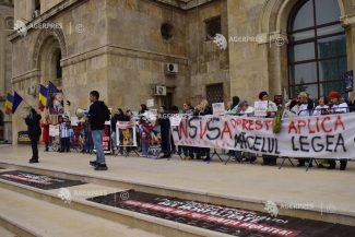 UPDATE Reprezentanți din mai multe organizații care se ocupă cu protecția animalelor protestează vineri în fața ANSVSA