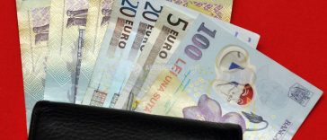 BNR: Riscurile la adresa cursului de schimb al leului rămân ridicate