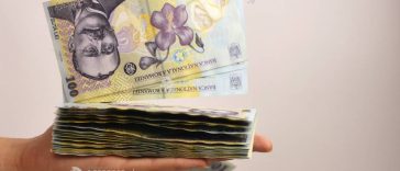 Nichișoiu (Coface): Modelul de creștere economică bazat pe consum pe datorie s-a epuizat