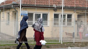 IGI: 1.369 de cereri de azil, înregistrate în primele 9 luni; creștere de 48,5% față de anul trecut