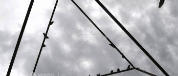 Vreme rece, vânt și ploi în București, în următoarele trei zile (meteorologi)