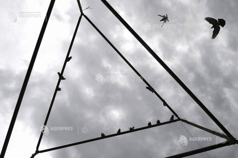 Vreme rece, vânt și ploi în București, în următoarele trei zile (meteorologi)