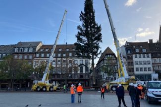 Celebrul brad de Crăciun de la Strasbourg, instalat în Piaţa Kléber, în pofida unor temeri legate de contestarea socială