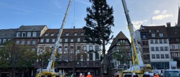 Celebrul brad de Crăciun de la Strasbourg, instalat în Piaţa Kléber, în pofida unor temeri legate de contestarea socială