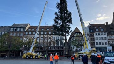 Celebrul brad de Crăciun de la Strasbourg, instalat în Piaţa Kléber, în pofida unor temeri legate de contestarea socială